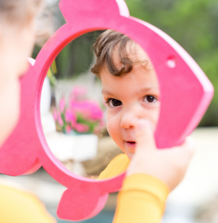 Zrcátko do vody Pink & White Fish